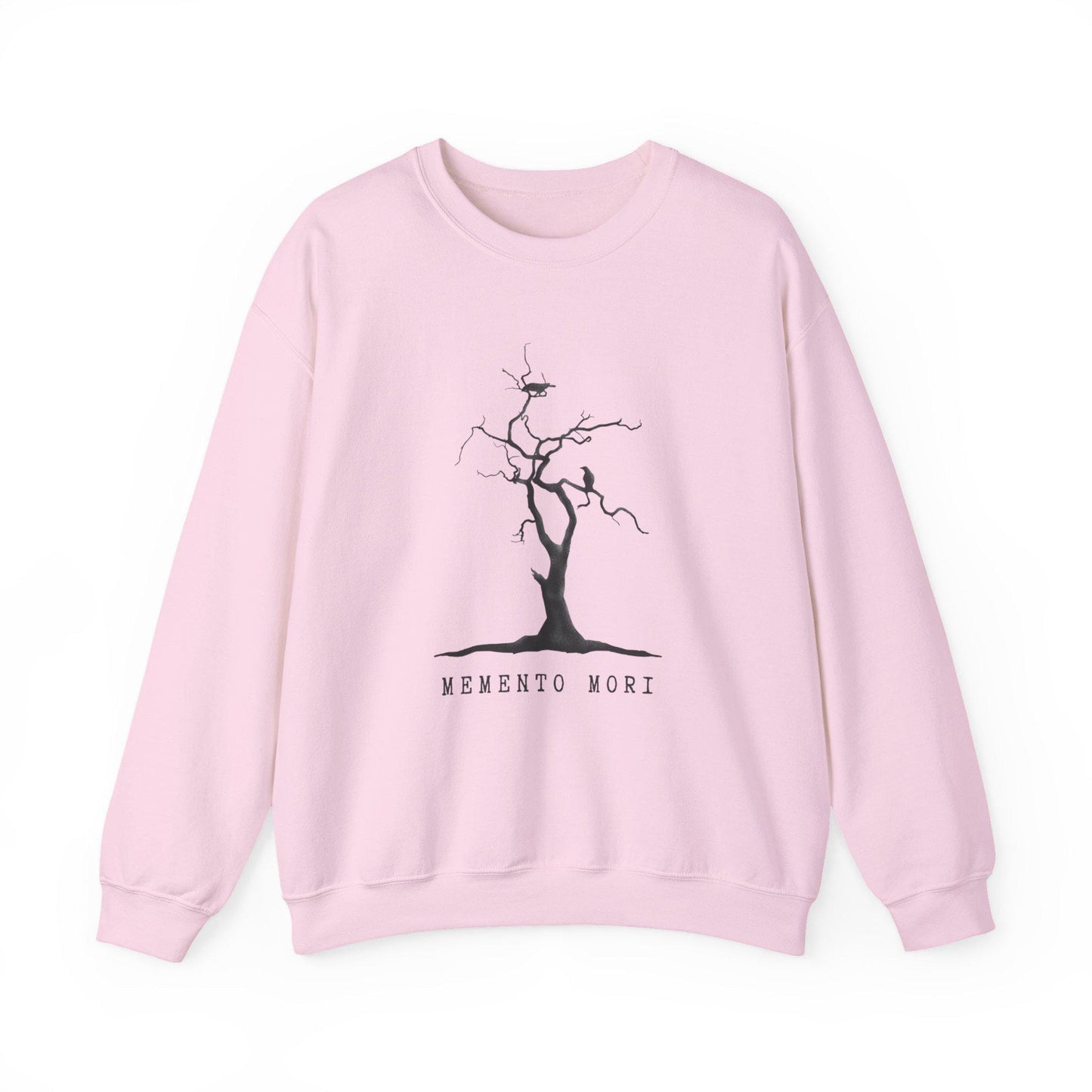 Memento Mori Gothic Literature Edgar Allen Poe Sweatshiry, Cozy Unisex Crewneck, Literary