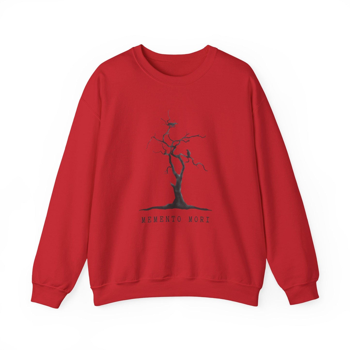 Memento Mori Gothic Literature Edgar Allen Poe Sweatshiry, Cozy Unisex Crewneck, Literary