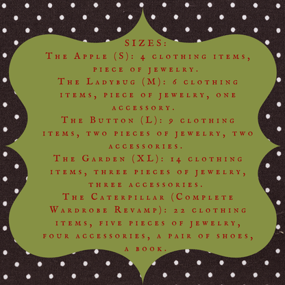 FREE SHIPPING Whimsical Twee Curated Clothing Box