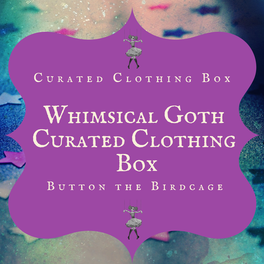FREE SHIPPING Whimsical Goth Curated Clothing Box