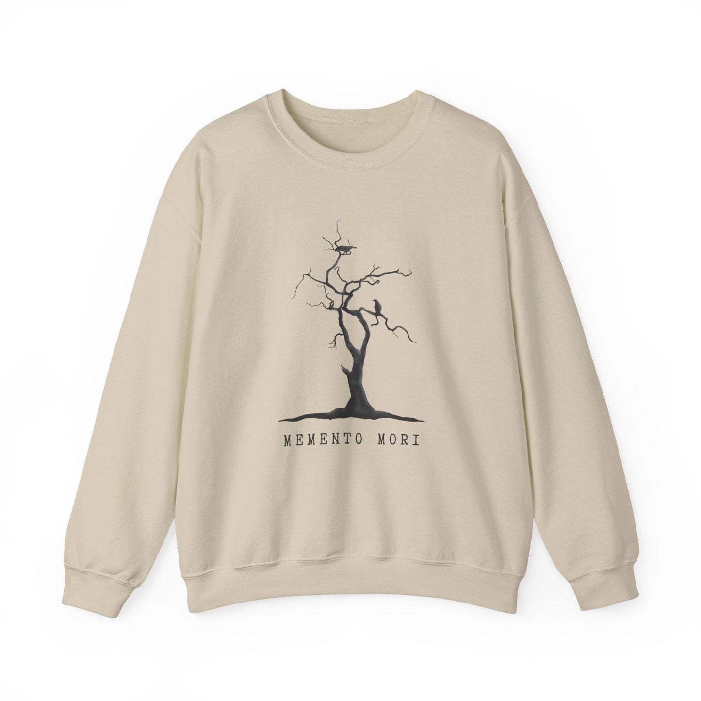 Memento Mori Gothic Literature Edgar Allen Poe Sweatshiry, Cozy Unisex Crewneck, Literary