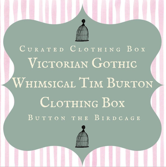 Victorian Gothic Whimsical Tim Burton Curated Outfit Box
