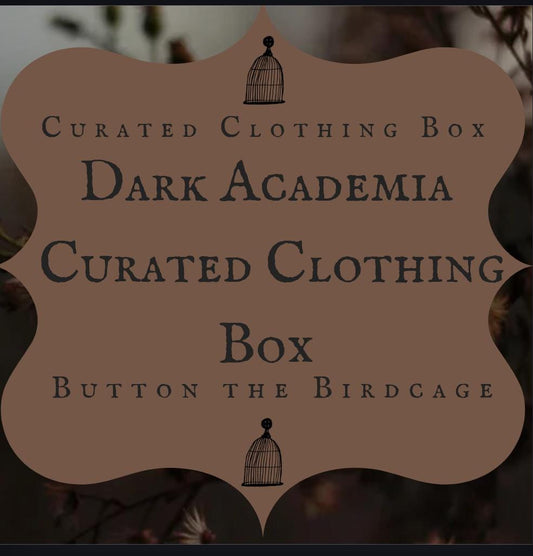 Dark Academia Curated Clothing Box